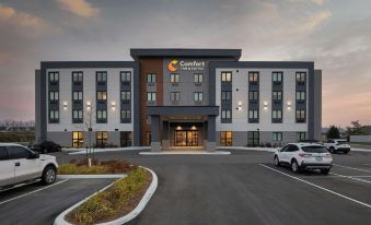 Comfort Inn & Suites - Housity