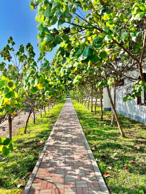 DM Hoteles Asia Hotels in 