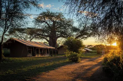 Baobab Tented Camp Các khách sạn ở 