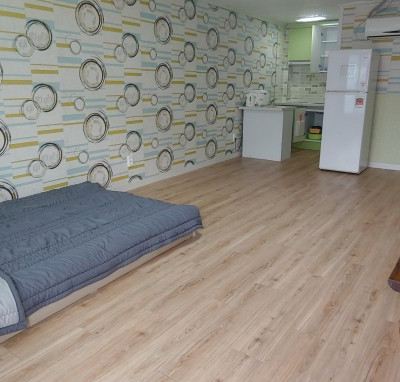 Bichon Frize, 1st Floor, Room 801 Gyeongju Run & Dogs Pension 쿠폰