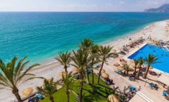 a beautiful beach with palm trees and a large pool surrounded by lounge chairs and umbrellas at Hotel Cap Negret