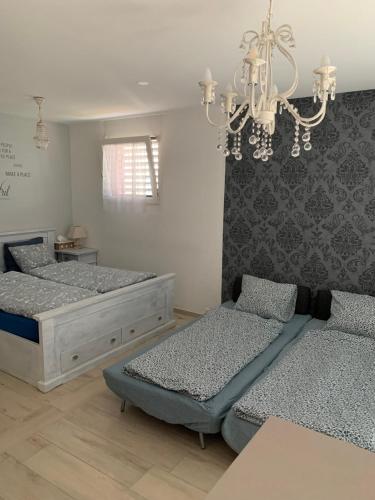 双人或双床间 - 带露台