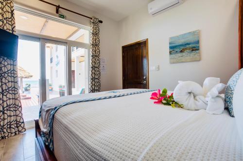 享有游泳池景致的一室公寓