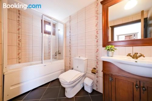 别墅（带独立泳池）