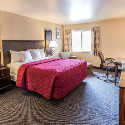 Standard King Room Cedars Inn Promo Code