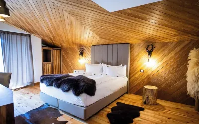 Hanul Bucovinei Hotels in 