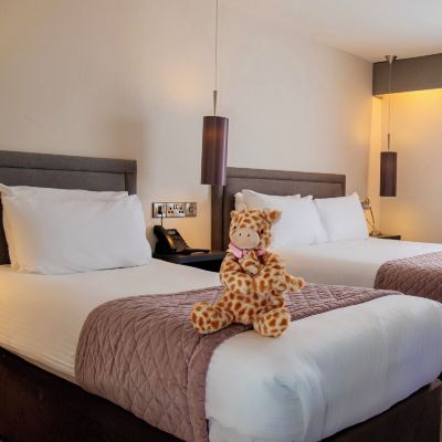 Superior Twin Room The Enniskillen Hotel Promo Code