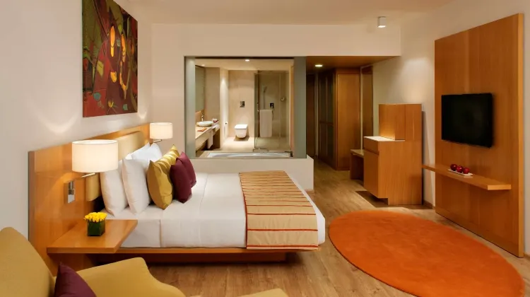 Radisson Blu Plaza Hotel Hyderabad Banjara Hills Room
