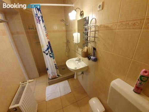 Abigel Vendeghaz Apartment - Ground Floor