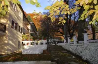 Hotel Hani Zisi Hotels in 