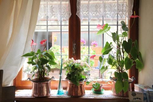 标准双人或双床房