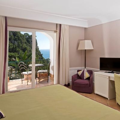 Deluxe Room with Sea View And Terrace