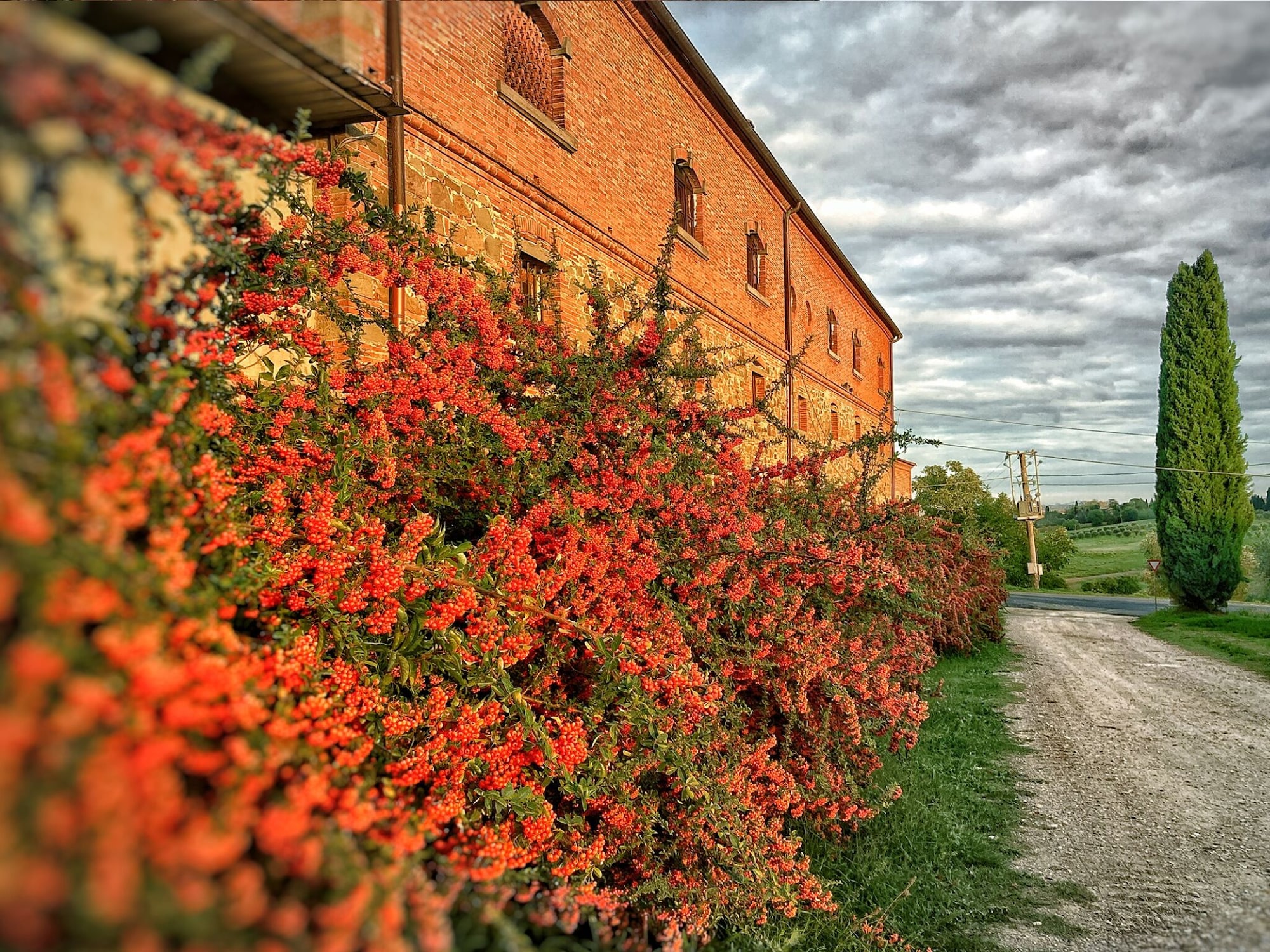 1卧室公寓 - 带庭院 - 可吸烟