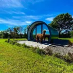 Black Knowe, Luxury Glamping Pods, Ballycastle