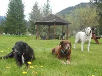 Clark Fork Lodge