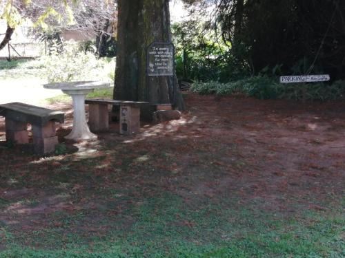 高级特大床或双床间