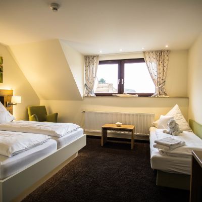 Classic Triple Room, 1 Queen Bed With Sofa Bed Landgasthof Zum Lamm Promo Code