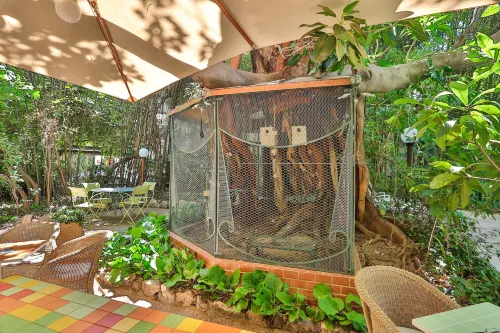 Le Windsor, Jungle Art Hotel