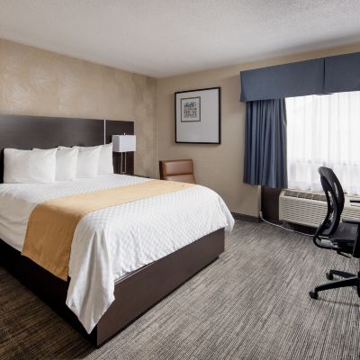 Standard Single Room Stonecroft Inn Promo Code