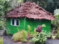 Jungle Oasis Bungalow Hôtels à : 