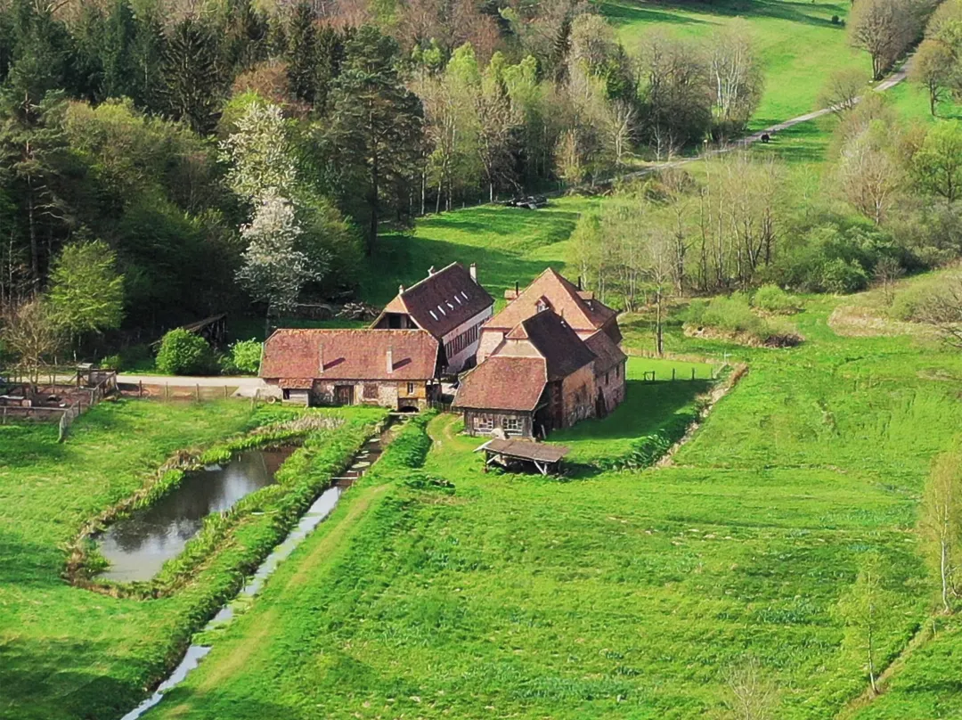 Maison D'hôtes La Paulusmühle Ancien Moulin En Pleine Nature - Schwarzwald