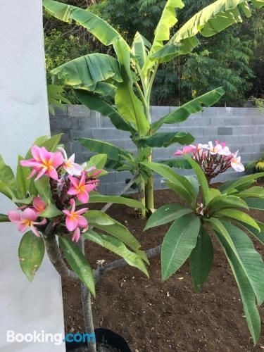 双人房（带独立浴室）