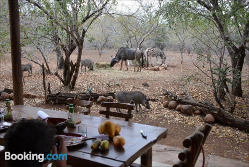 别墅（带独立泳池）