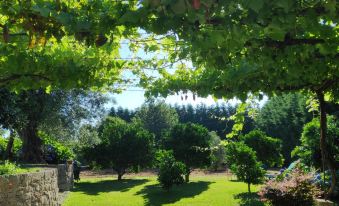 Casas da Quinta da Cancela - Housity