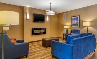 Comfort Suites San Antonio North - Stone Oak