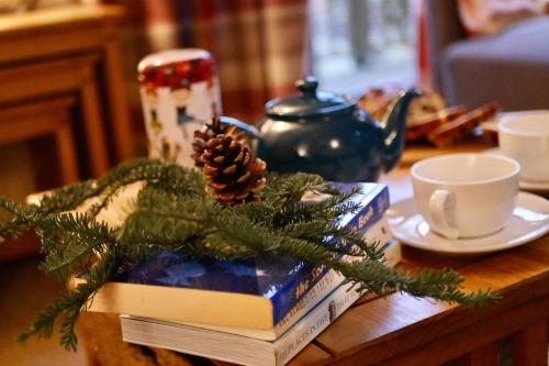 美景两卧室木屋