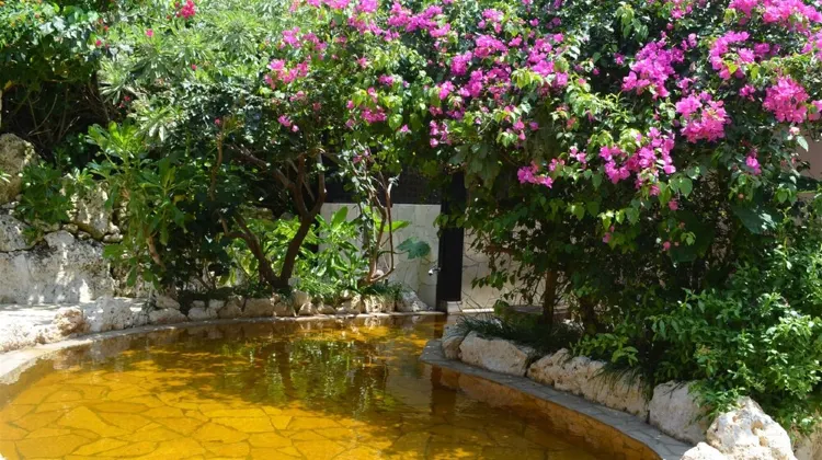 シギラベイサイドスイート アラマンダ 施設