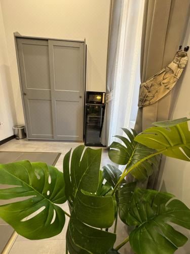 豪华双人间带淋浴