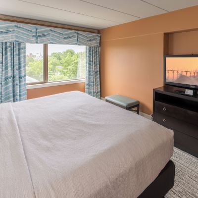 Standard Suite, 1 King Bed with Sofa Bed, City View The Boulevard Inn & Bistro Promo Code