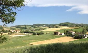 Agriturismo Azienda Agricola Miranti