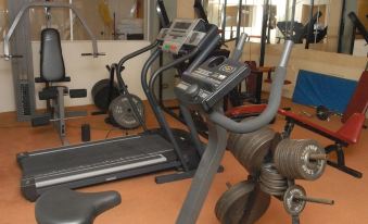 a well - equipped gym with various exercise equipment , including a treadmill , weights , and a stationary bike at Hotel Ritz