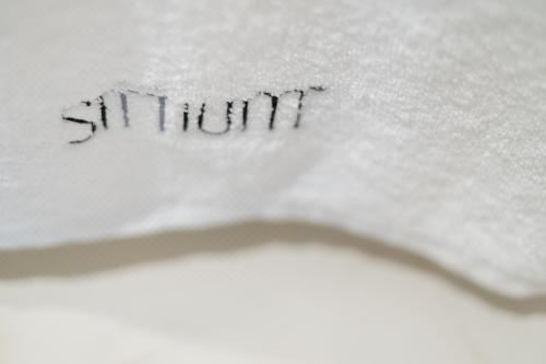 Sittium Two-Bedroom Apartment