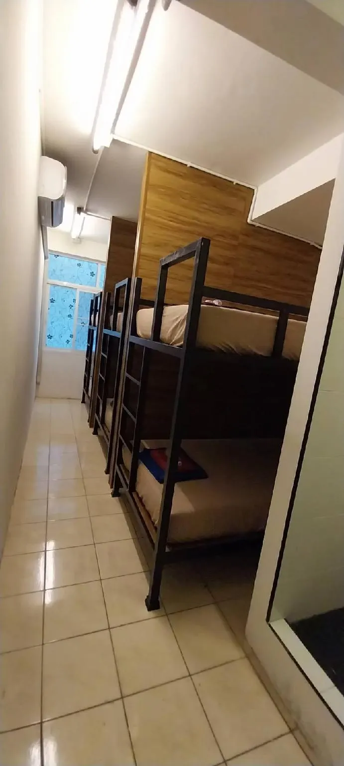 Mixed Dorm Bed