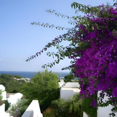 One-Bedroom Apartment With Sea View Rocha Brava Village Resort Promo Code