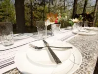 Remodeled Cabin w/fireplace, 2 miles from Lakewood Hotels in Riverview
