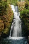 Portland Charming, fully furnished, private, quiet and pets friendly Home.