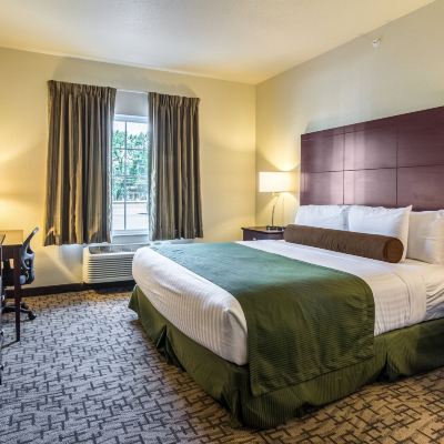 Studio Suite, Multiple Beds, Accessible, Non Smoking Cobblestone Hotel & Suites - Greenville Promo Code