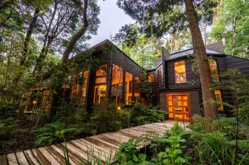 Rakau Lodge