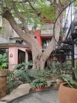 Casa del Árbol Hostel Xochimilco Hotels in 