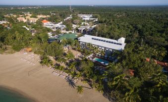 aerial view of a beach resort surrounded by palm trees , with a pool in the foreground at Emotions by Hodelpa - Juan Dolio