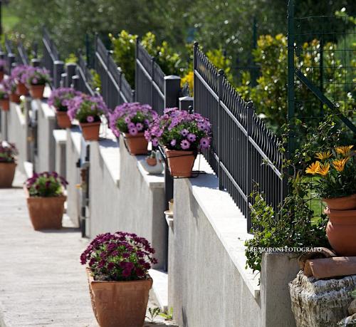 园景两卧室公寓