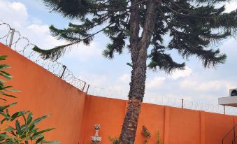 Beautiful Affordable House - 5 minutes from the airport and 12 minutes to Blue bay beach - Housity