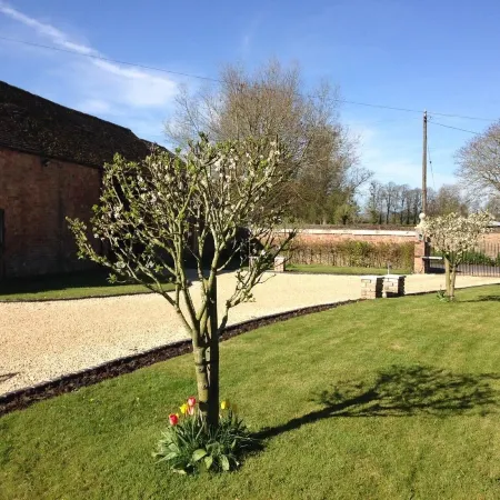 Saul Farm