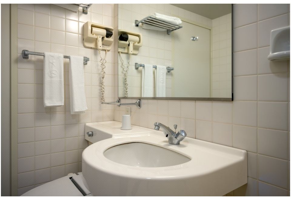 豪华小型双人床房 禁烟