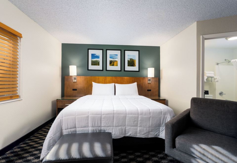 特大床一室公寓（禁止携带宠物）