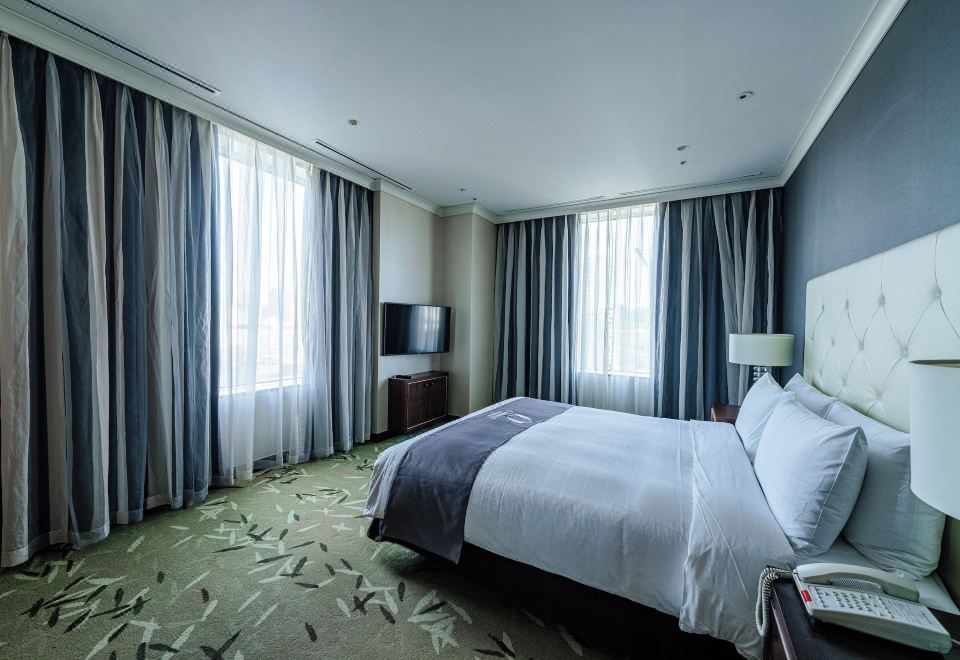 一卧室高级公寓